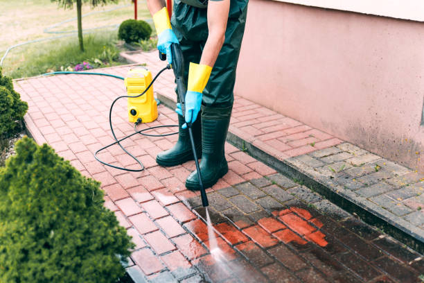 Best Building Exterior Washing  in East Meadow, NY