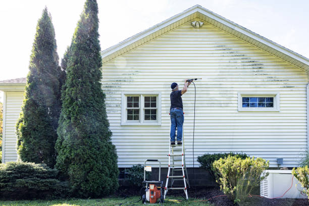Best Fence Cleaning  in East Meadow, NY
